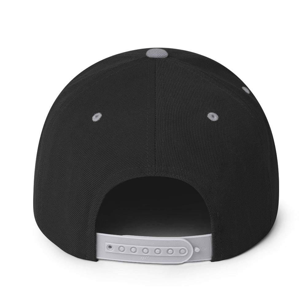 BS Logo Snapback Hat, One Size fits all